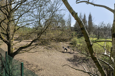 Animal Park