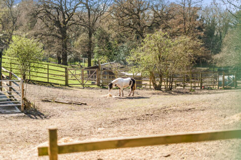Animal Park