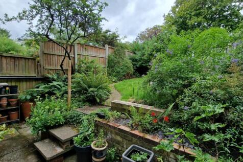 new garden shot 1