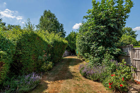 back Garden