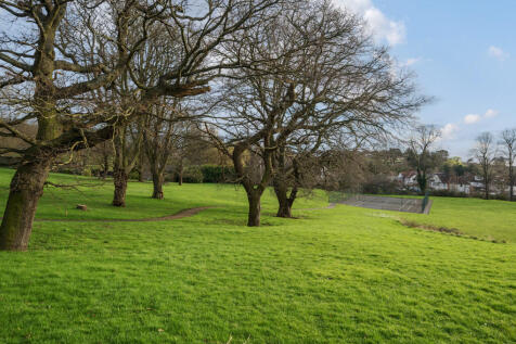 Local Park