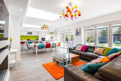 Lounge / Kitchen