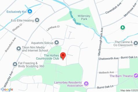 Google Maps Image