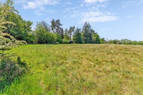 Meadow
