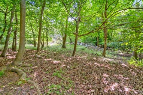 Property Image 39