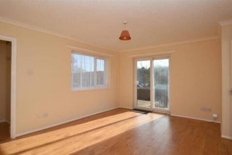 5 Daisy Links - 01.jpeg