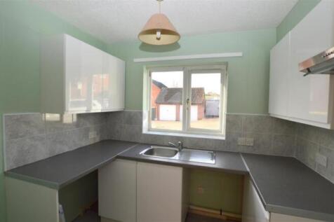 5 Daisy Links - 02.jpeg