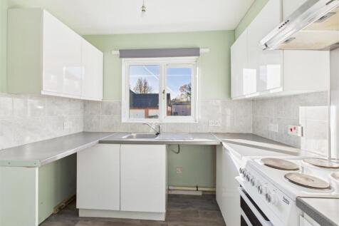 5 Daisy Links - 03.jpg