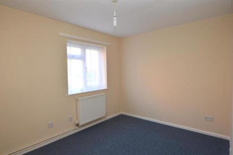 5 Daisy Links - 03.jpeg