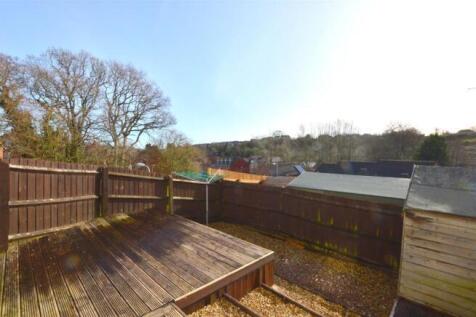 5 Daisy Links - 05.jpeg