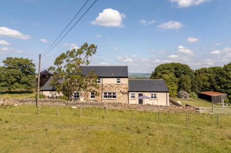 Property Image 57