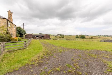 Property Image 49