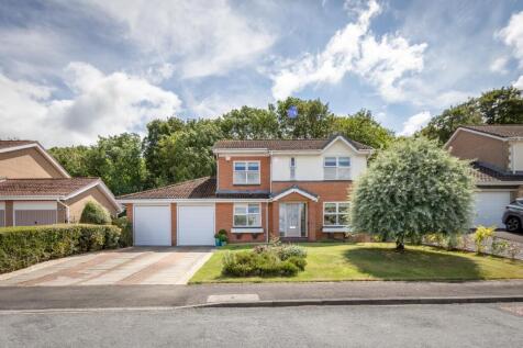Property Image 36