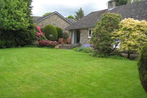 garden 3.jpg