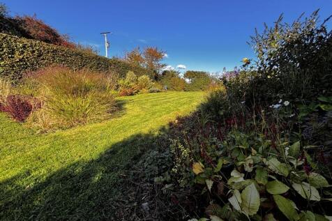 Property Image 58