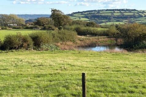 Property Image 38