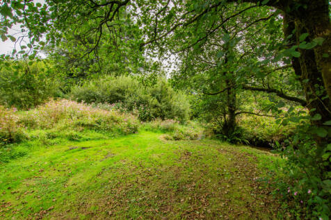 Property Image 44