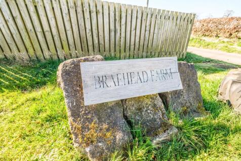 Braehead Farm-14.jpg