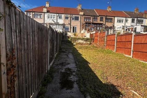 Back Garden