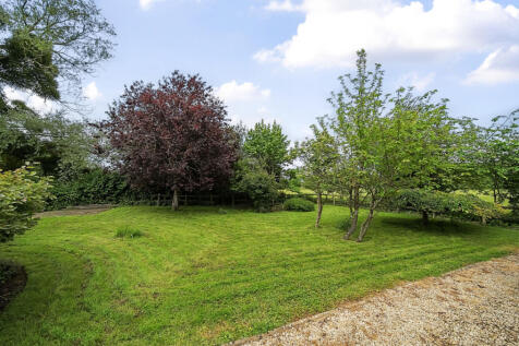 Communal Garden
