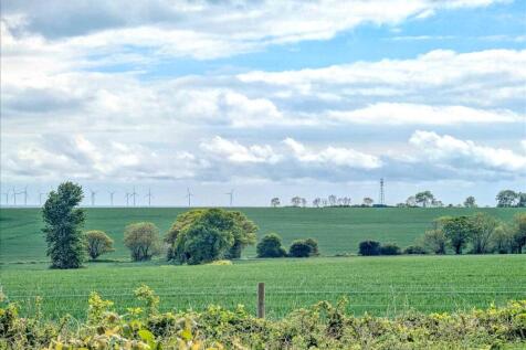 Field Views