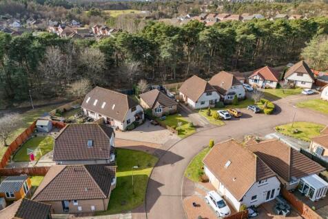 Aerial Shot