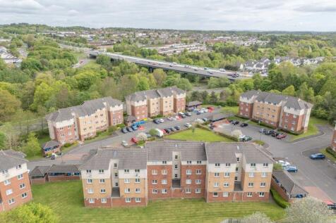Aerial Rear