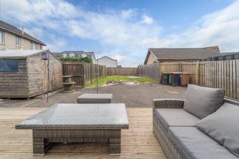 Back garden