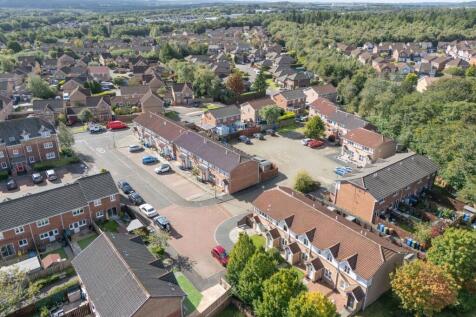 Aerial Shot