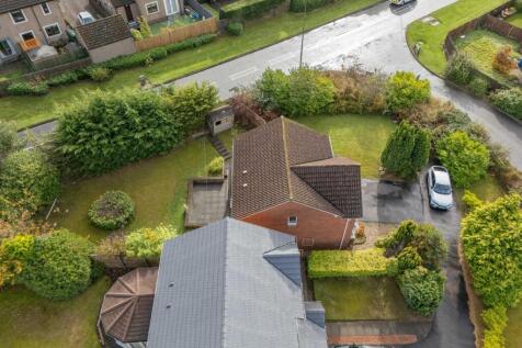 Ariel View