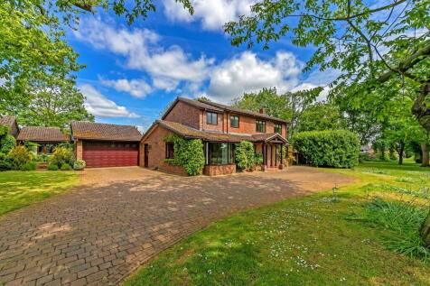 Property Image 38