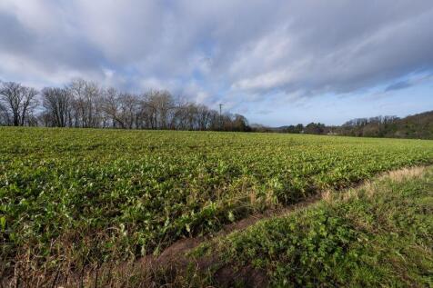 VIEW NEXT TO PROPERTY