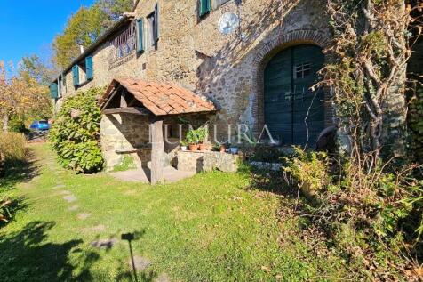 Property Image 41