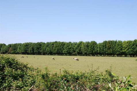 DSC_1122.JPG