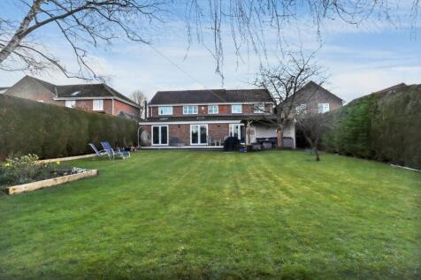 Property Image 33