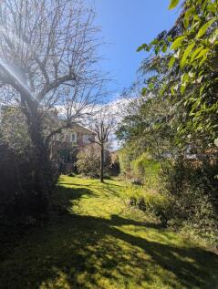 PXL_20250328_111436085