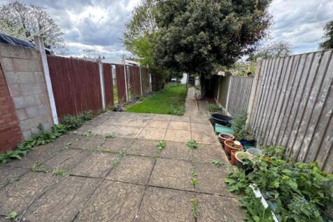 Southern garden