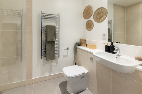 Show home 