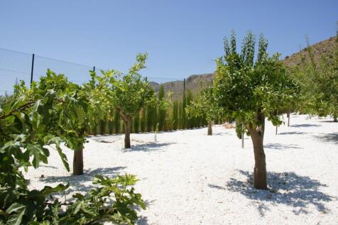 Property Image 30