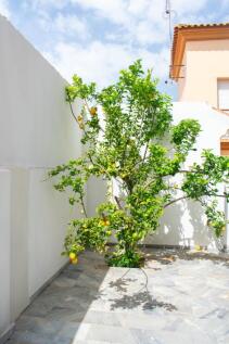 Property Image 69