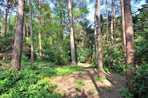 Property Image 31