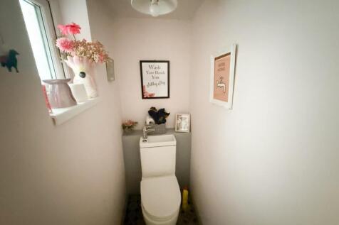 PHOTO-2025-11-07-14-22-18 3