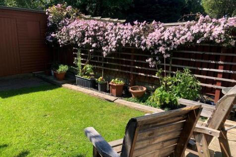 Garden 4.jpg