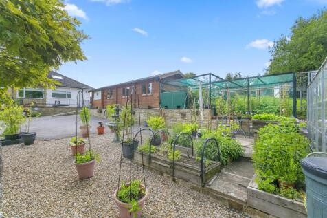 Vegetable Patch