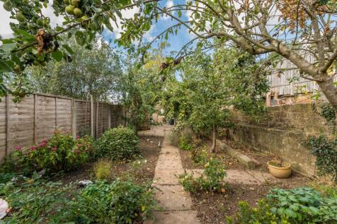 Fruit Trees