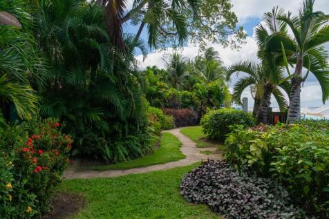 Coral Cove 10