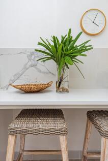 Ixora 101