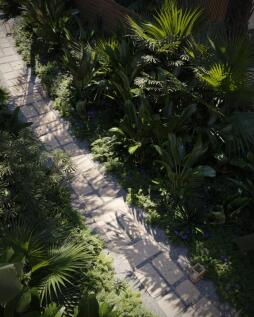 Porters Palms