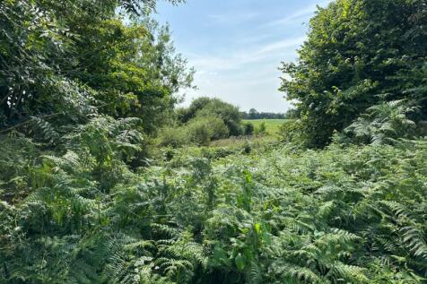 Property Image 61