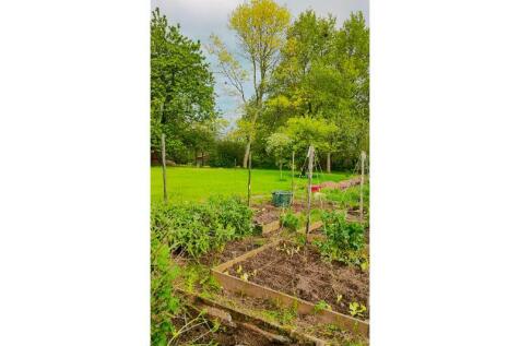 Property Image 65